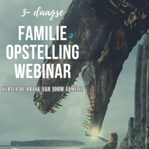 Familie Opstelling Webinar
