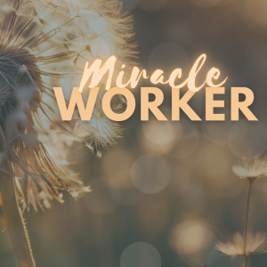 Miracle Worker Activatie sessie