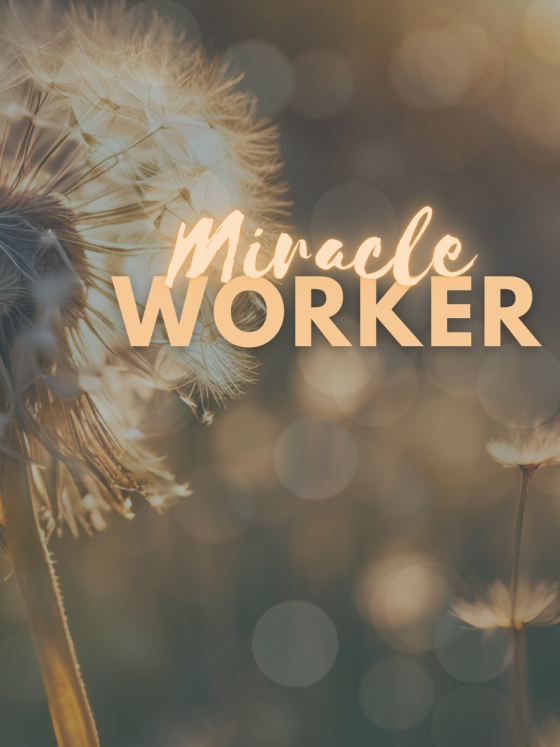 Miracle Worker Activatie sessie