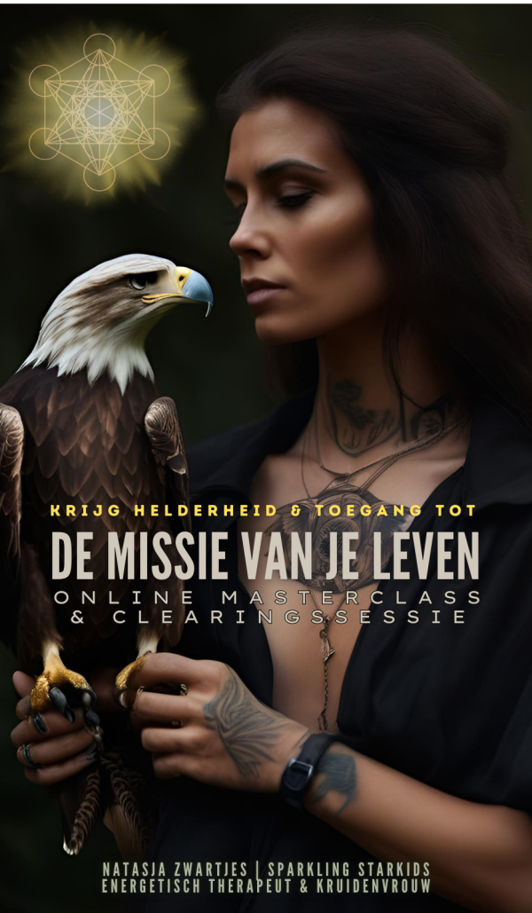 De Missie van je Leven